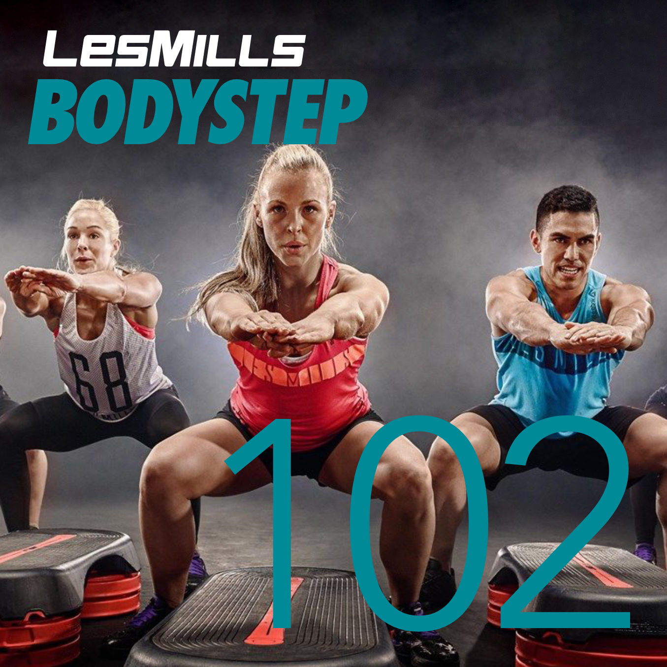 BODYSTEP 102