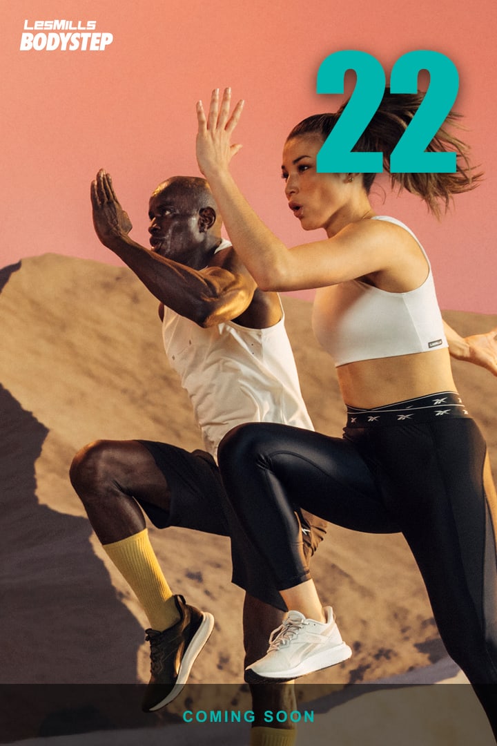 BODYSTEP 22