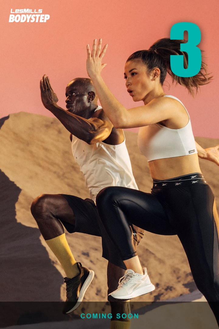 BODYSTEP 3