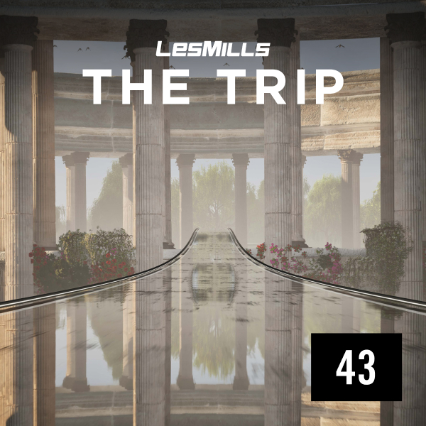 THE TRIP 43