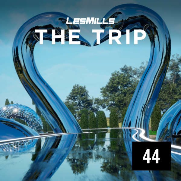 THE TRIP 44